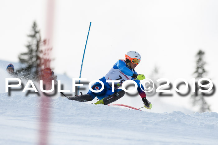 FIS Slalom + NJC Damen + FIS Herren 27.01.2019