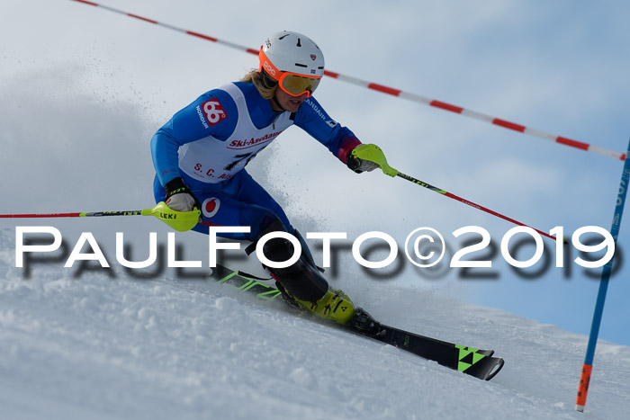 FIS Slalom + NJC Damen + FIS Herren 27.01.2019