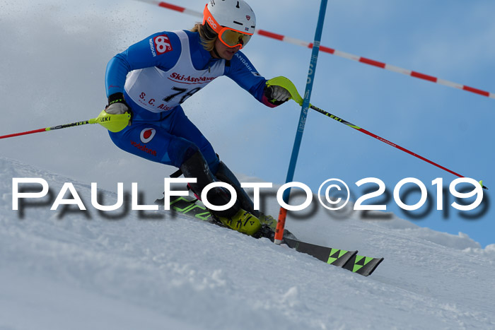 FIS Slalom + NJC Damen + FIS Herren 27.01.2019