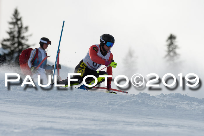 FIS Slalom + NJC Damen + FIS Herren 27.01.2019