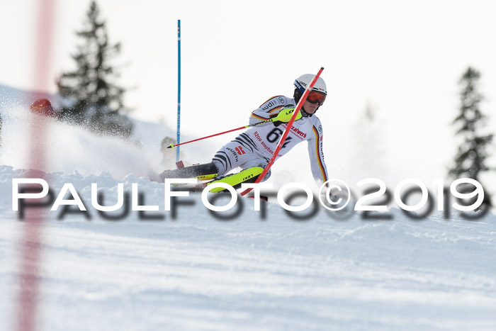 FIS Slalom + NJC Damen + FIS Herren 27.01.2019