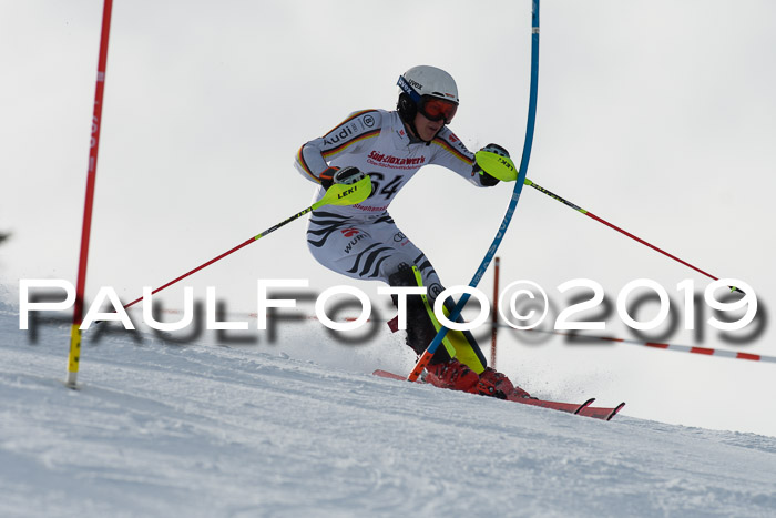 FIS Slalom + NJC Damen + FIS Herren 27.01.2019