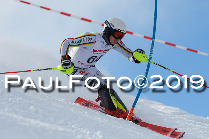 FIS Slalom + NJC Damen + FIS Herren 27.01.2019