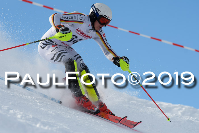 FIS Slalom + NJC Damen + FIS Herren 27.01.2019