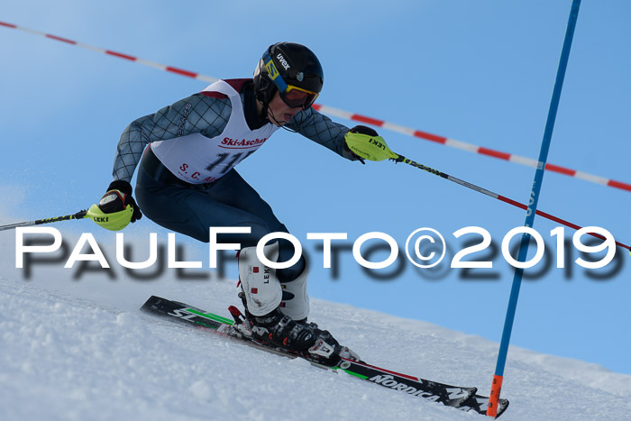FIS Slalom + NJC Damen + FIS Herren 27.01.2019
