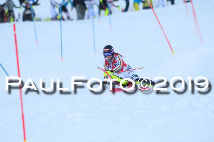 FIS Slalom + NJC Damen + FIS Herren 27.01.2019