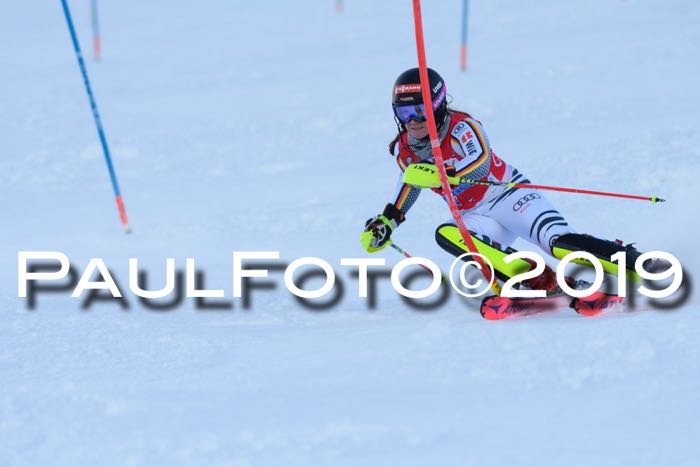 FIS Slalom + NJC Damen + FIS Herren 27.01.2019