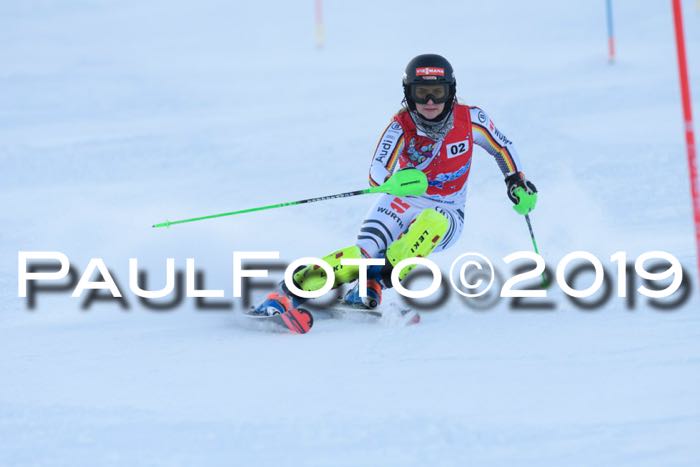 FIS Slalom + NJC Damen + FIS Herren 27.01.2019