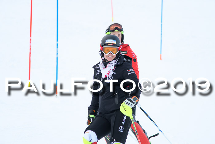 FIS Slalom + NJC Damen + FIS Herren 27.01.2019