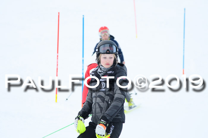 FIS Slalom + NJC Damen + FIS Herren 27.01.2019