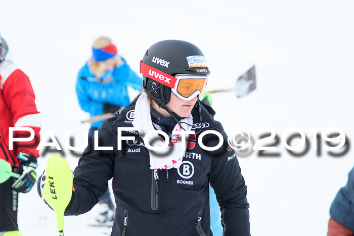 FIS Slalom + NJC Damen + FIS Herren 27.01.2019