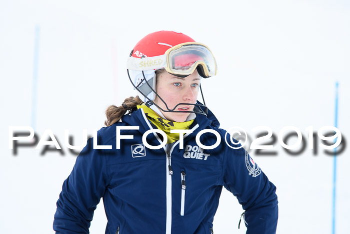 FIS Slalom + NJC Damen + FIS Herren 27.01.2019