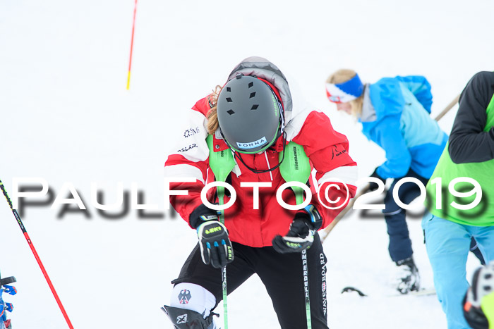 FIS Slalom + NJC Damen + FIS Herren 27.01.2019