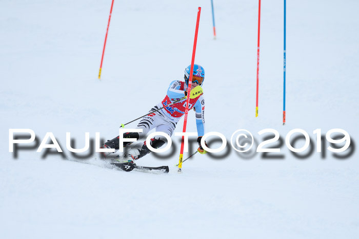 FIS Slalom + NJC Damen + FIS Herren 27.01.2019