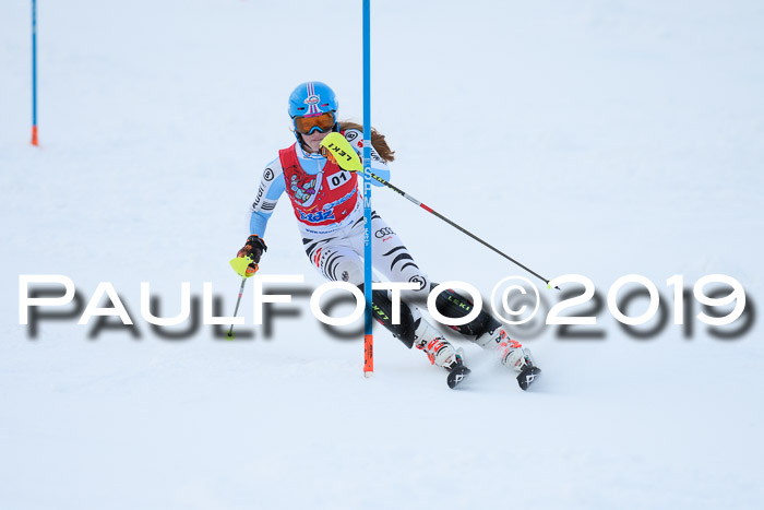 FIS Slalom + NJC Damen + FIS Herren 27.01.2019