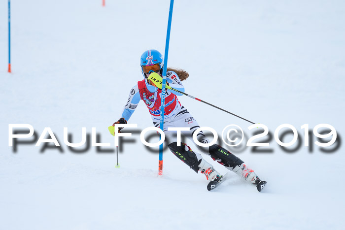 FIS Slalom + NJC Damen + FIS Herren 27.01.2019