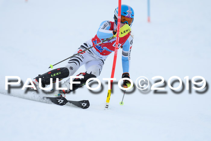 FIS Slalom + NJC Damen + FIS Herren 27.01.2019