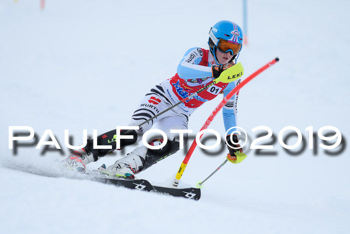 FIS Slalom + NJC Damen + FIS Herren 27.01.2019