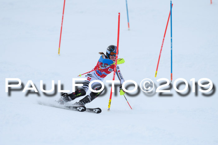 FIS Slalom + NJC Damen + FIS Herren 27.01.2019