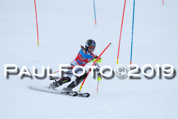 FIS Slalom + NJC Damen + FIS Herren 27.01.2019