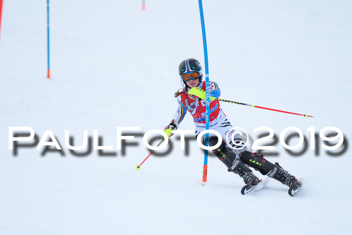 FIS Slalom + NJC Damen + FIS Herren 27.01.2019