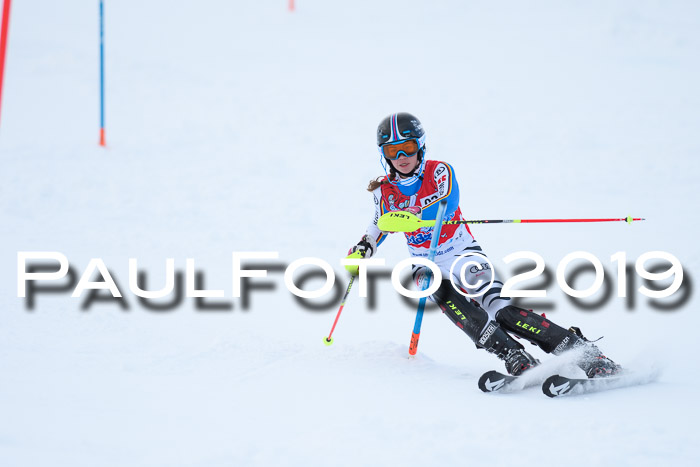 FIS Slalom + NJC Damen + FIS Herren 27.01.2019