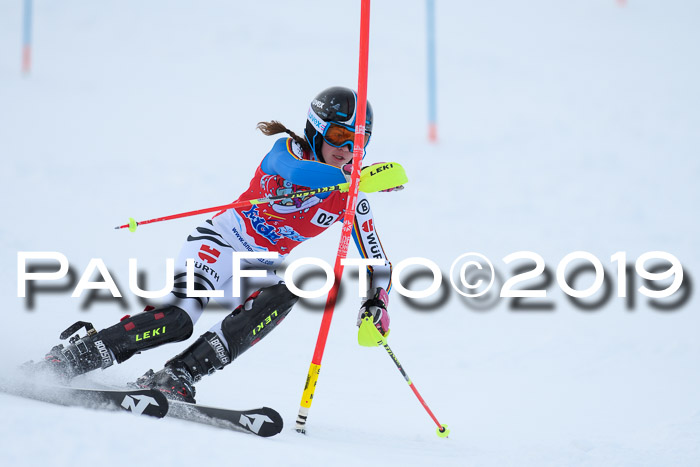 FIS Slalom + NJC Damen + FIS Herren 27.01.2019