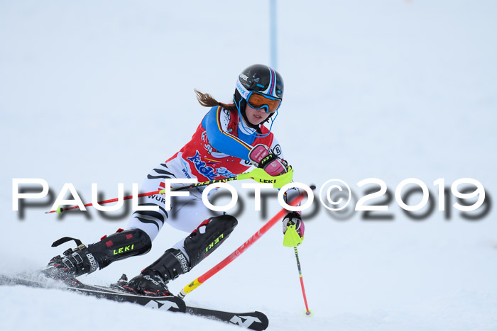 FIS Slalom + NJC Damen + FIS Herren 27.01.2019