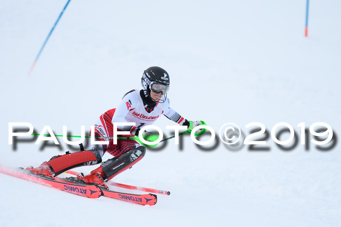 FIS Slalom + NJC Damen + FIS Herren 27.01.2019