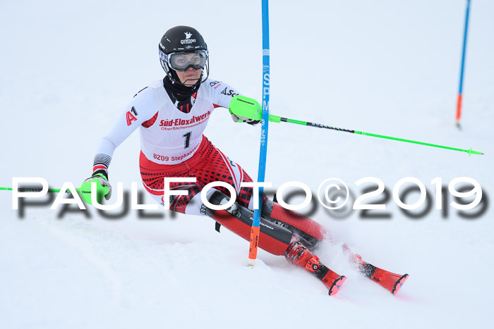 FIS Slalom + NJC Damen + FIS Herren 27.01.2019