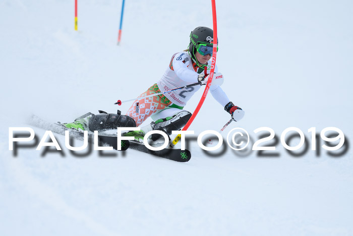 FIS Slalom + NJC Damen + FIS Herren 27.01.2019