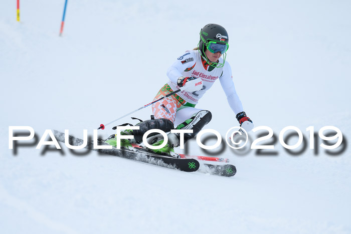 FIS Slalom + NJC Damen + FIS Herren 27.01.2019