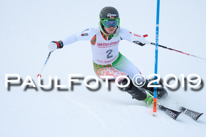 FIS Slalom + NJC Damen + FIS Herren 27.01.2019