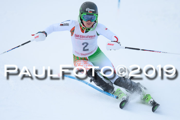 FIS Slalom + NJC Damen + FIS Herren 27.01.2019