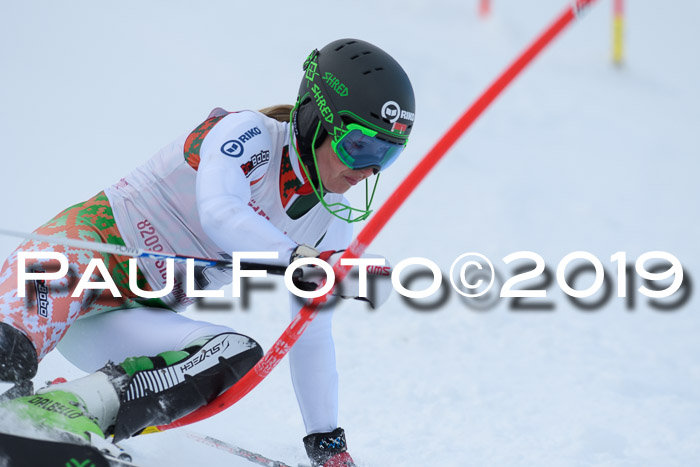 FIS Slalom + NJC Damen + FIS Herren 27.01.2019