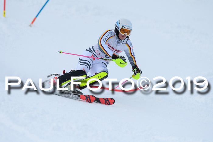 FIS Slalom + NJC Damen + FIS Herren 27.01.2019