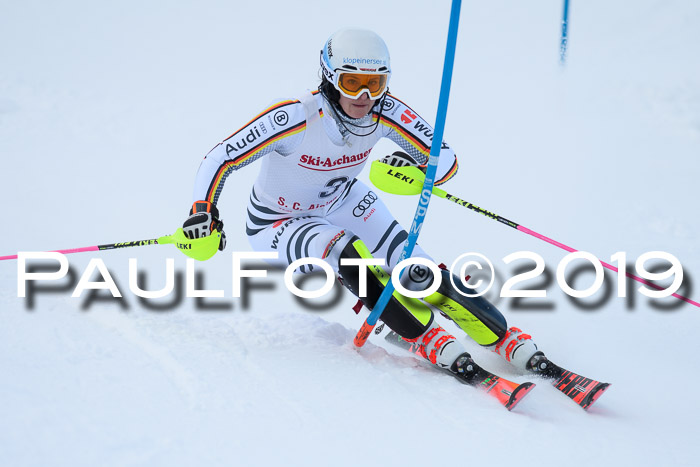 FIS Slalom + NJC Damen + FIS Herren 27.01.2019