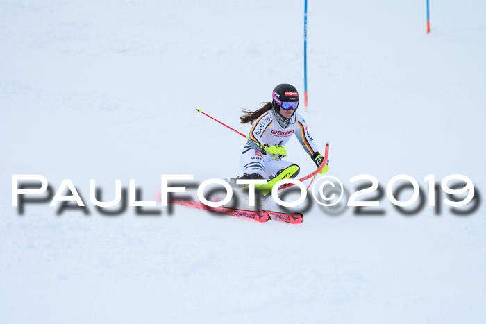 FIS Slalom + NJC Damen + FIS Herren 27.01.2019