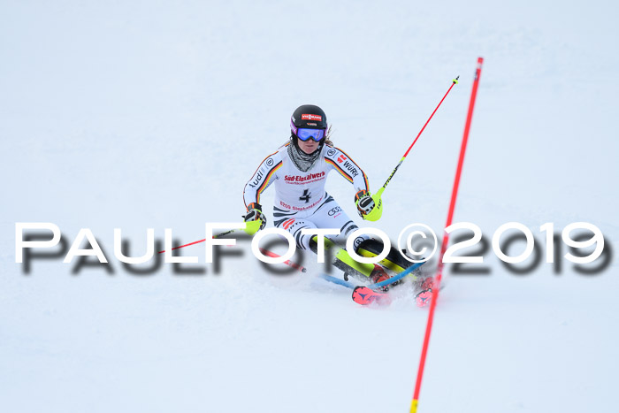 FIS Slalom + NJC Damen + FIS Herren 27.01.2019