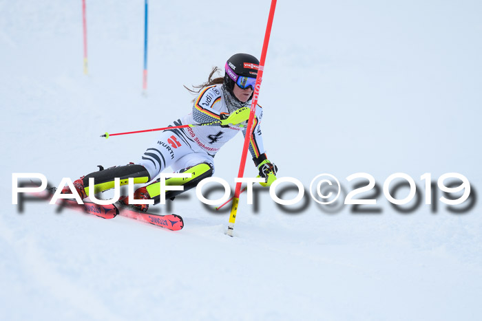FIS Slalom + NJC Damen + FIS Herren 27.01.2019