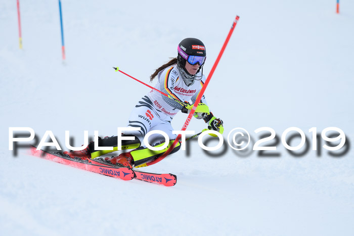FIS Slalom + NJC Damen + FIS Herren 27.01.2019
