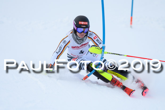 FIS Slalom + NJC Damen + FIS Herren 27.01.2019