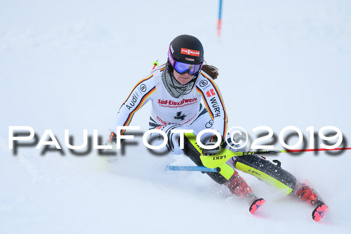 FIS Slalom + NJC Damen + FIS Herren 27.01.2019