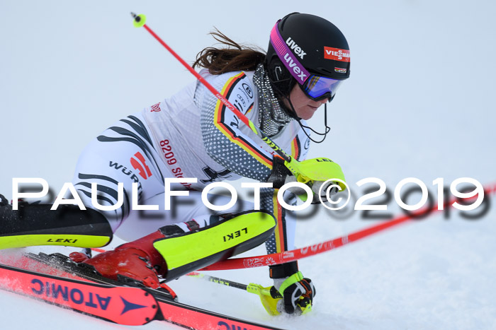 FIS Slalom + NJC Damen + FIS Herren 27.01.2019