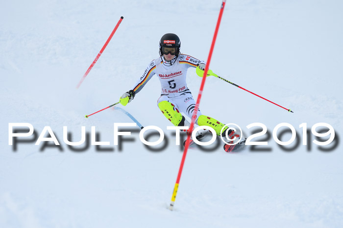 FIS Slalom + NJC Damen + FIS Herren 27.01.2019