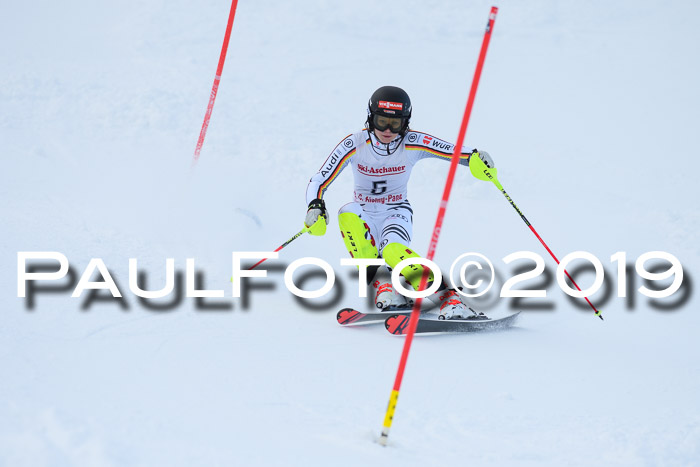 FIS Slalom + NJC Damen + FIS Herren 27.01.2019