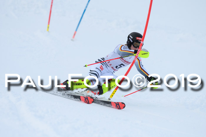 FIS Slalom + NJC Damen + FIS Herren 27.01.2019