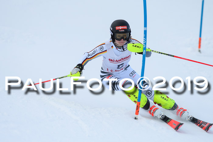 FIS Slalom + NJC Damen + FIS Herren 27.01.2019