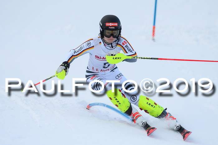 FIS Slalom + NJC Damen + FIS Herren 27.01.2019