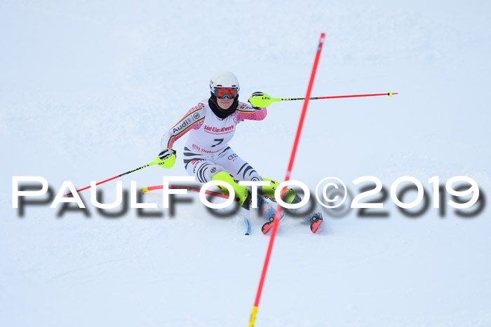 FIS Slalom + NJC Damen + FIS Herren 27.01.2019